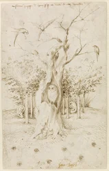 La forêt a des oreilles, le champ a des yeux par Bosch, Hieronymus (vers 1450-1516)