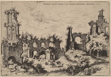 Ruines du Palatin avec le Septizonium