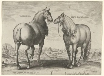 Cheval de Rome et une jument porteuse