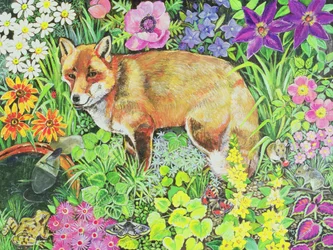 Le renard de Barnet