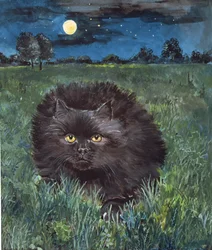 Le Chat et la Lune