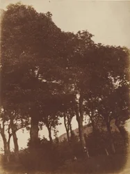[Champ à Bonaly]