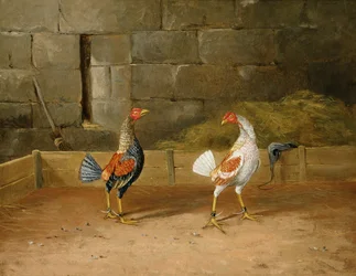 Le défi