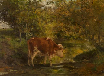 Une vache près du fossé