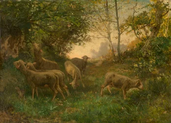 Des moutons à l