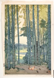 Bosquet de bambous