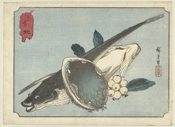 Poissons plats, ormeaux et baies