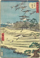 Oies rentrant à Shirahige, novembre 1861