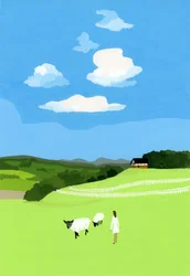 Prairie et moutons