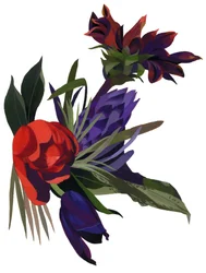 Tulipes et dahlias