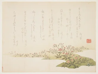 Violettes, vers 1848-53