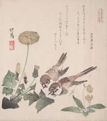 Collection de Pluie de Printemps Harusame shu, vol. 3 : Moineaux et Pissenlits
