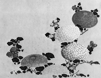 Chrysanthèmes, 19ème siècle