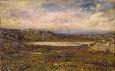 Côte sauvage, Newport