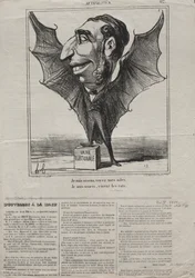 Actualités (n° 62) : Je suis un oiseau, regarde mes ailes..