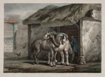 Cheval de ferme
