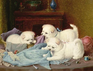 Les petits fauteurs de troubles