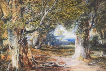 Dans le bois
