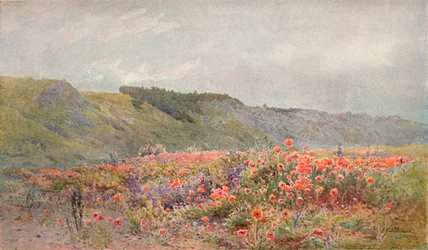 La Vallée des Coquelicots, vers 1879-1903, 1903
