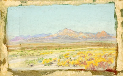 Paysage désertique (#69)