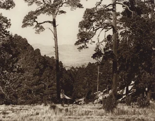 Mexique : panorama sauvage au pied du Pico de Orizaba (photo n/b)