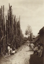 Mexique : Santiago, rue caractéristique du village avec des cactées en forme de colonnes (photo n/b)