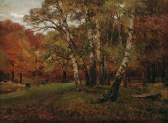 Paysage avec des bouleaux