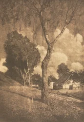 Camera Work: Motif poméranien