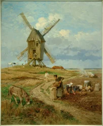Récolte de pommes de terre