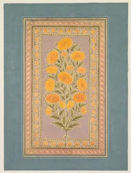 Souci en fleur, vers 1765
