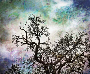 Arbres célestes abstraits