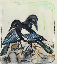 Oiseaux noirs