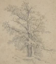 Arbre