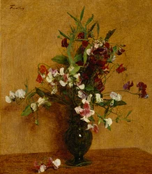 Pois de senteur, 1888