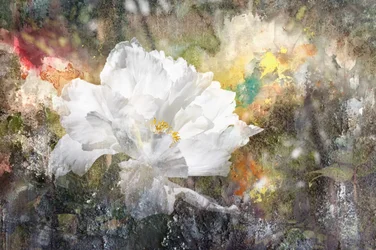 Fleur blanche rêveuse