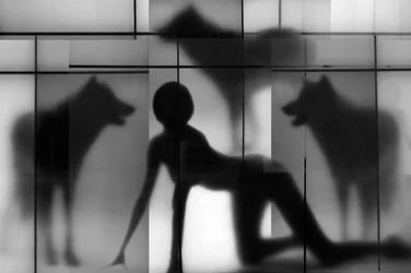 Femme et ombres de loup