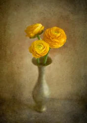 Vase « Golden Ranunculus »