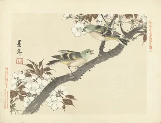 Deux oiseaux verts sur une branche en fleurs