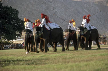 Hommes jouant au polo à dos d