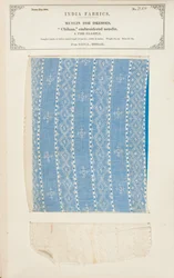Échantillon de mousseline brodée Chikan de Dacca au Bengale, de The Collection of the Textile Manufacturers of India, par John Forbes Watson, publié en 1866