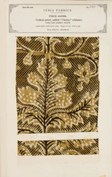 Échantillon de coton avec impression chetee (chintz) d