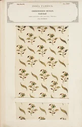 Échantillon de mousseline brodée de Madras, de The Collection of the Textile Manufacturers of India, par John Forbes Watson, publié en 1866