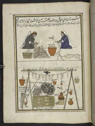 Poissonniers, femmes éviscérant des poissons ; homme séchant des poissons