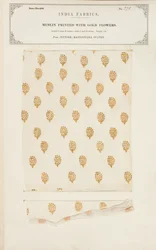 Échantillon de mousseline imprimée de fleurs dorées de Jeypore dans les États du Rajpootana, de The Collection of the Textile Manufacturers of India, par John Forbes Watson, publié en 1866
