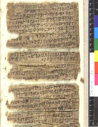 Fragments de manuscrit en écorce de bouleau en Kharoṣṭhī