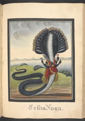 Sesha, le serpent sur lequel repose Vishnu