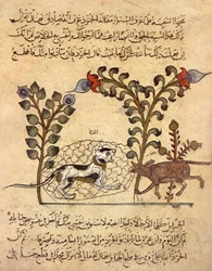 Le chat et le rat, miniature arabe de "Kalila va dimna"