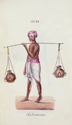 Porteur d