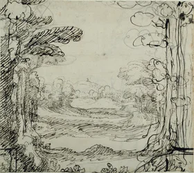 Une forêt