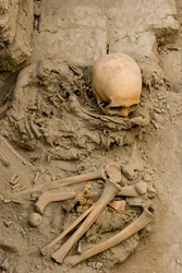 La femme sacrificielle dans la tombe avec le paquet de momie à Huaca El Brujo, 2005